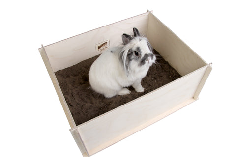 Bunny Nature Interactive Digging Box