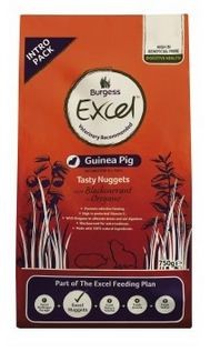 BG316 Burgess Excel Blackcurrent and Oregano for Guinea Pig 2kg