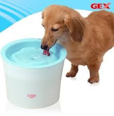 PURE CRYSTAL DRINKING BOWL-DOG