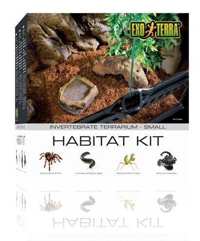 Exoterra Invertebrate Kit