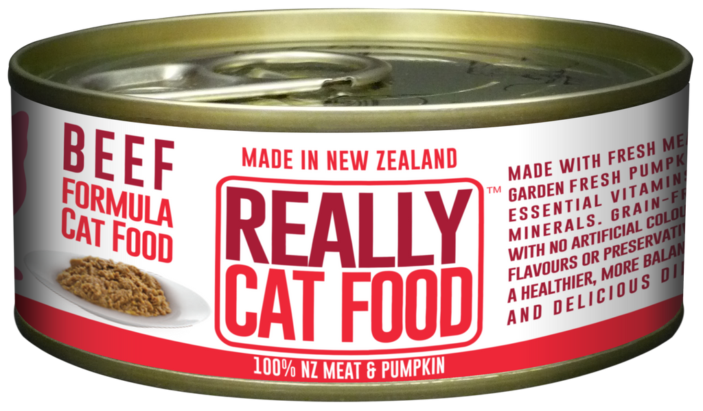 Really Cat Food Beef 90g (24/carton)