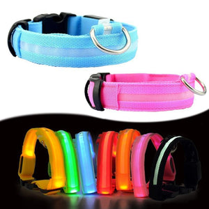 LED Pet Collar