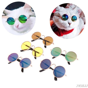 Pet Sunglasses