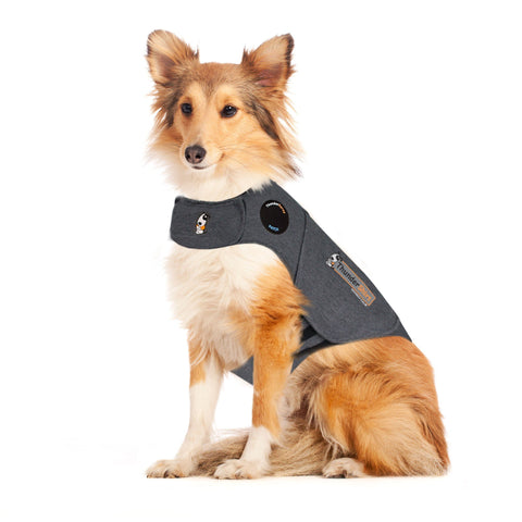 Image of ThunderShirt for Dogs